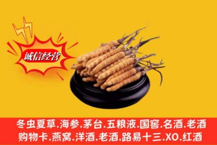 宜城市求购回收虫草多少钱每克